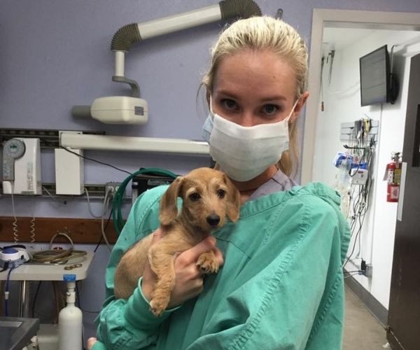 A woman is holding a dog