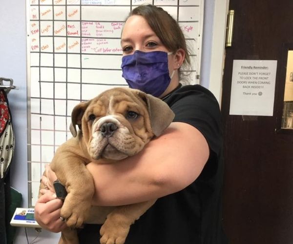 A woman is holding a dog