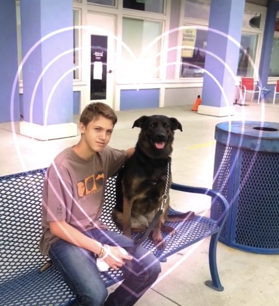 A dog is sitting on a chair with a boy