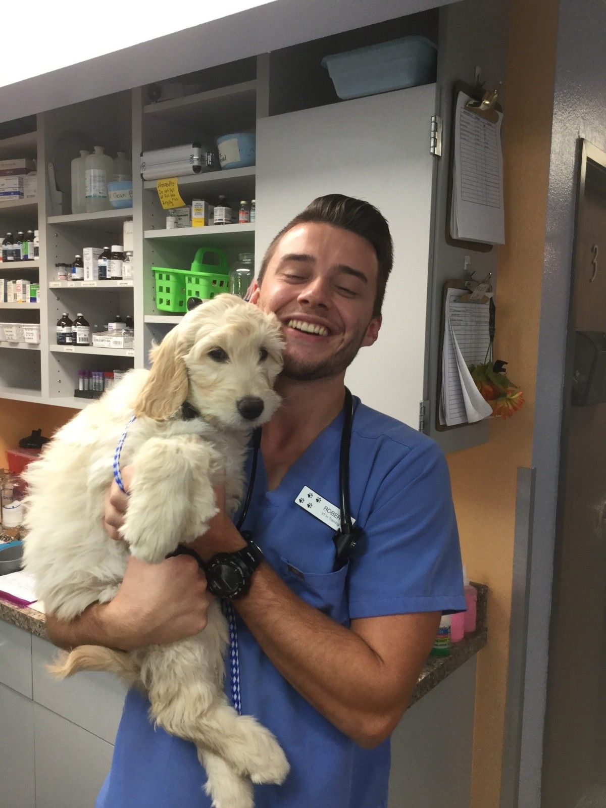 A vet is holding a dog